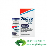 Opdivo�����Ʒ����������Դ�Bϸ���ܰ�������Ч��ô����