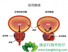 �Զ�������Ϊ���Ļ�������ʺ��ҹ�ǰ���ٰ�������