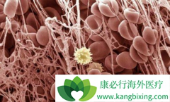 ��ɳ��������ԭ���Թ�����ά������Ч����ȫ����Σ�