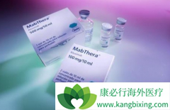 HER-2�������ٰ���������ҩ����˺���͡/�����鵥��������Щ��