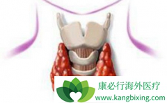 ����Щ���������жϼ�״�����������Ի��Ƕ��ԣ�