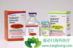 ���߼������Ƽ������ϸ�����ӷ籩������