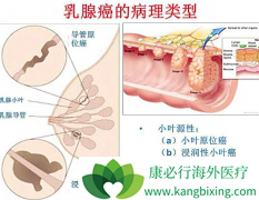 ���������ٰ��������׳���ת����