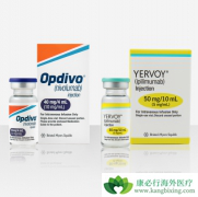 Ŀǰ�Ѿ��ڹ������е�PD-1���Ƽ�/PD-1��������Щ��