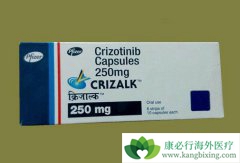 �����������Ͽ�������Կ˷���������(Xalkori)��ҩ�л�������