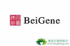 ����BTK���Ƽ������������ҩ������ĸ��ã�