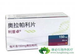 �ѳ��������ٰ����߶����׳���BRCAͻ����