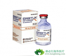 ����������/���������ϰ�����������NSCLC����Ч�뵥ҩ������������