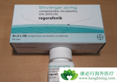 ����Ż�������(Regorafenib)����������