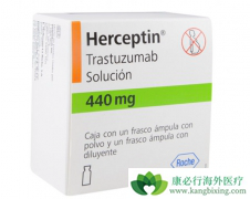 ����ҩ�������鵥����������HER2����ת����θ����