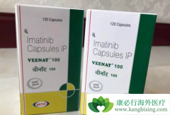 GIST�Լ׻�����������Ƭ��ҩ����ԳԴ�ɳ������