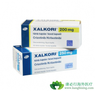 ��������ҩ��EGFR-TKI�����Ʒΰ����Ƽ��Ʒ�֮һ