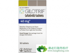 �����������Ʒ���ҩ�Ժ���EGFRͻ���ת���Է�Сϸ���ΰ���Ч