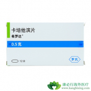 �����Ī�򰷵�ҩ��������������Ī��������pNETs����PFS��OS