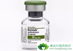 �����(Keytruda)����������֢���ƴ����˸����Եı仯