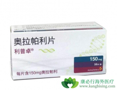 ��������(Olaparib)�ڲ�ͬ�����ѳ�����ά������