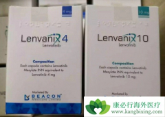 ��Բ�ͬ��Ӧ֢�ַ������÷��кβ�ͬ��