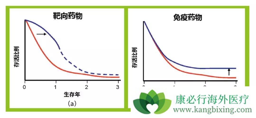 1569069226851598.jpg 640.webp.jpg