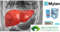 ��Ӳ����ʲô����α����Ӳ�����ΰ���