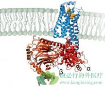 ��������ǰ���ٰ�֢���������Ĳ�����Ӧ����Щ��