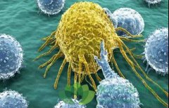 ����ǰ���ٰ�֢������ҩ���������Ķ���ѧ�о�