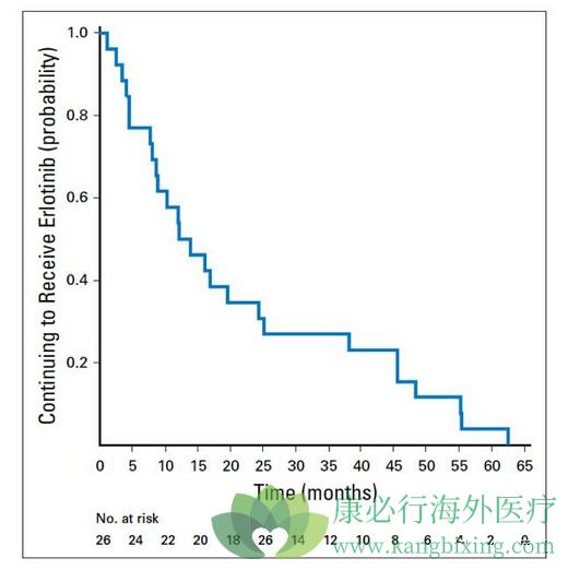 厄洛替尼 肺癌41.jpg