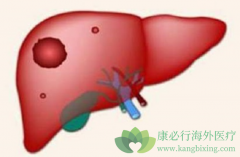 ������Ⱥ���������������/�������᣿