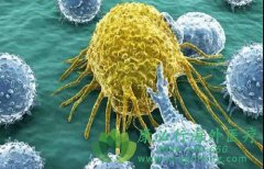 ǰ���ٰ�����ҩ�������������ö�ã�