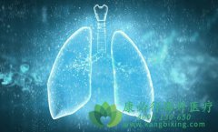 ����ɳ/��������û���ָ�������ûЧ����