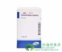 ��̹/����������Ӧ֢����̹(Sunitinib)�÷�������