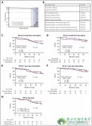 ��³������жϻ���ͼ����Ƿ��Ӱ��CLL��Զ����Ч�أ�