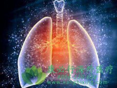 �ΰ���ת�ƻ��ܻ��ã�����������������