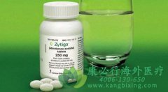 ��������������ҩ(������/ADT)���ٴ��о�