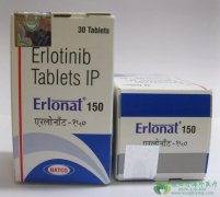 ��Сϸ���ΰ����ٰ���ҩ���޿�/��������(ERLOTINIB)����ע������