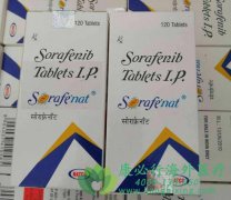 ����������(Sorafenib)֮�����ڸΰ���������ҩ���ط�����