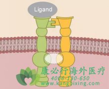 ��������/̩��ɳ(TYKERB)��ʲôҩ�����Щ�����Ĳ�����Ӧ��