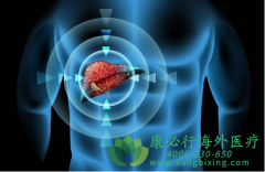 �ַ����������������Ըΰ�ҩЧ�͸����öԱȣ�