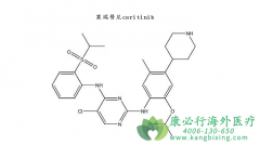 ��������ҩ��ɫ������/��������(CERITINIB)������ҩҪ��