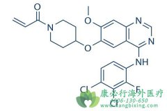 ��������(Poziotinib)������ϸҩ���˵����