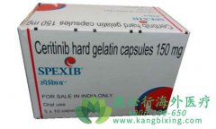 ��Сϸ���ΰ�����ҩɫ������(Ceritinib)����Ǯһ�У�