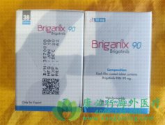 ��������9291��ҩ�����ò�������(Brigatinib)����