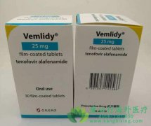 ŵΤӰ/Τ(Vemlidy)Ҹʲô