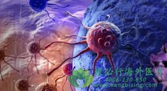 ������������������������������ַ��������ָ���