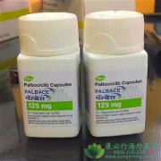 ��������(palbociclib)�����ڷ����Ʒ����Ƽ�����������/HER-2���Ե�ת�������ٰ�