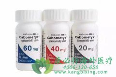 �ΰ�����ҩ�￨������(XL184/Cabozantinib)�����ü��������� 