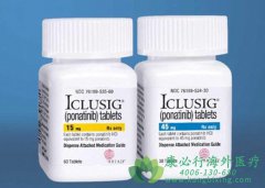 ����ҩ��������/��������(Ponatinib)����Щע�����