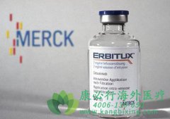 ����������(Cetuximab)���ϻ�����������ת����ͷ�����۰�һ������