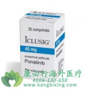 ����ҩ��������/��������(Ponatinib)�۸�������ﹺ��