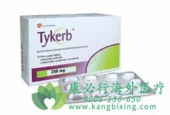 ��������(lapatinib)����������Щ����ô�����أ�