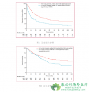 ����Ī˾͡���Ƿ������������Ƹ���������ϸ���ܰ���������ѡ��